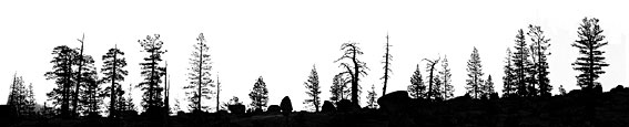 footer image of tree line